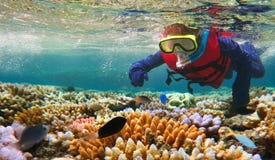 Ребенок snorkeling в большом барьерном рифе Квинсленде Австралии Ребенок snorkeling в большом барьерном рифе Квинсленде Австралии