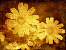 резюмируйте grunge предпосылки флористическое Стоковое фото RF резюмируйте grunge предпосылки флористическое Стоковое фото RF