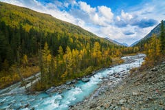 Река в долине Akkem в природном парке гор Altai, окрестностях горы Belukha стоковое фото Река в долине Akkem в природном парке гор Altai, окрестностях горы Belukha стоковое фото