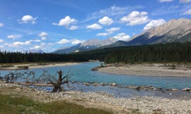 Река в канадских скалистых горах - национальный парк Kootenay стоковые фото Река в канадских скалистых горах - национальный парк Kootenay стоковые фото