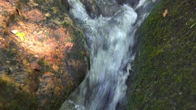 Река горы пропуская в тропической речной воде потока леса от водопада пропуская на больших камнях видеоматериал Река горы пропуская в тропической речной воде потока леса от водопада пропуская на больших камнях видеоматериал