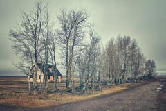 Ретро тонизировал старую покинутую хату в туманном дне стоковая фотография Ретро тонизировал старую покинутую хату в туманном дне стоковая фотография