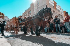 Реус, Испания Март 2019: Лошадь вытягивая тренера вокруг центра города в кавалькаде фестиваля усыпальниц Tres стоковое фото rf Реус, Испания Март 2019: Лошадь вытягивая тренера вокруг центра города в кавалькаде фестиваля усыпальниц Tres стоковое фото rf