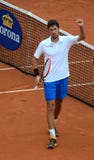 Робин Haase стоковые фотографии rf Робин Haase стоковые фотографии rf