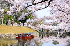 Ров замка Hikone стоковое фото rf Ров замка Hikone стоковое фото rf