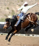 родео всадника bronc bucking родео всадника bronc bucking