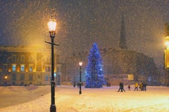 Рождественская елка в снеге на квадрате купола в Риге стоковые изображения Рождественская елка в снеге на квадрате купола в Риге стоковые изображения