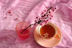 Розовая вишня Blossomms и чай в розовой чашке стоковое изображение Розовая вишня Blossomms и чай в розовой чашке стоковое изображение
