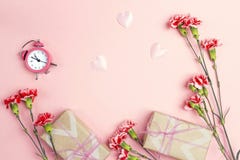 Розовая предпосылка с цветками гвоздик, будильником и подарком bo Стоковые Изображения RF Розовая предпосылка с цветками гвоздик, будильником и подарком bo Стоковые Изображения RF