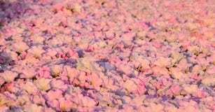 Розовая фиолетовая текстура предпосылки конспекта картины цветков славы утра Стоковые Изображения RF Розовая фиолетовая текстура предпосылки конспекта картины цветков славы утра Стоковые Изображения RF