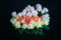 Розовые оранжевые белые розы Handbouquet с черными предпосылкой и деталью росы на розах делают розы смотрят настолько красивыми стоковые изображения Розовые оранжевые белые розы Handbouquet с черными предпосылкой и деталью росы на розах делают розы смотрят настолько красивыми стоковые изображения