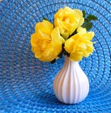 Розы Floribunda желтого цвета трио крупного плана на голубой циновке стоковые фото Розы Floribunda желтого цвета трио крупного плана на голубой циновке стоковые фото