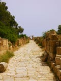Руины больших винных бутылок Leptis, Ливии - римской дороги стоковые фотографии rf Руины больших винных бутылок Leptis, Ливии - римской дороги стоковые фотографии rf