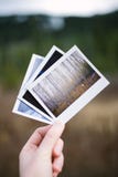 Рука держа 3 винтажных немедленных фото фильма природы стоковые фото Рука держа 3 винтажных немедленных фото фильма природы стоковые фото