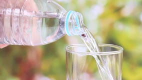 Рука женщины держа бутылку с водой и лить ясной питьевой воды в стекло на запачканной зеленой предпосылке природы видеоматериал Рука женщины держа бутылку с водой и лить ясной питьевой воды в стекло на запачканной зеленой предпосылке природы видеоматериал