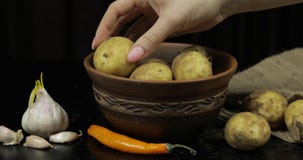 Рука женщины принимает картошки в куче по-одному Грязные сырцовые картошки на плите стоковые изображения Рука женщины принимает картошки в куче по-одному Грязные сырцовые картошки на плите стоковые изображения