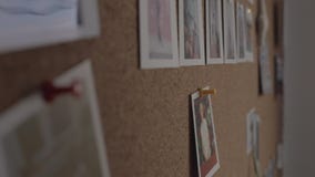 Рука кладет фото с милой молодой женщиной на пробковую доску акции видеоматериалы Рука кладет фото с милой молодой женщиной на пробковую доску акции видеоматериалы
