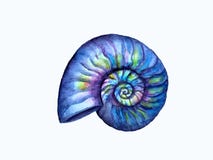 Рука тонет seashell бесплатная иллюстрация Рука тонет seashell бесплатная иллюстрация