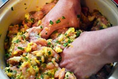 Руки женщины подготавливают miced свежее мясо для фрикаделек Вручную смешивать мясо с яйцами, петрушкой и чесноком стоковая фотография Руки женщины подготавливают miced свежее мясо для фрикаделек Вручную смешивать мясо с яйцами, петрушкой и чесноком стоковая фотография