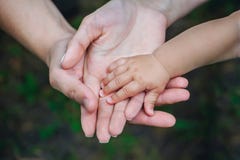 3 руки такой же семьи - отец, мать и младенец остаются совместно Концепция единства семьи, защиты, поддержки стоковая фотография rf 3 руки такой же семьи - отец, мать и младенец остаются совместно Концепция единства семьи, защиты, поддержки стоковая фотография rf