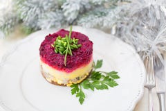 Русский традиционный салат, одетая сельдь под меховой шыбой стоковые фото Русский традиционный салат, одетая сельдь под меховой шыбой стоковые фото