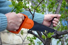 Ручная пила на древесине в мужских руках стоковое фото rf Ручная пила на древесине в мужских руках стоковое фото rf