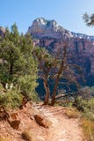 След до девственница River Valley стоковые фотографии rf След до девственница River Valley стоковые фотографии rf