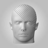 Сломленная голова, иллюстрация 3d Сторона разделения персоны иллюстрация штока Сломленная голова, иллюстрация 3d Сторона разделения персоны иллюстрация штока