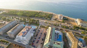 Сад ладони на набережной в Benidorm Испании под голубым небом стоковое изображение Сад ладони на набережной в Benidorm Испании под голубым небом стоковое изображение