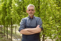 Садовник в комбинезоне, его руках сложенных на его комоде на фоне молодых деревьев стоковое фото rf Садовник в комбинезоне, его руках сложенных на его комоде на фоне молодых деревьев стоковое фото rf