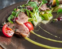 Салат утки с овощами Arugula, гайками сосны и оранжевым соусом Взгляд от верхней части на темной деревянной предпосылке стоковая фотография Салат утки с овощами Arugula, гайками сосны и оранжевым соусом Взгляд от верхней части на темной деревянной предпосылке стоковая фотография