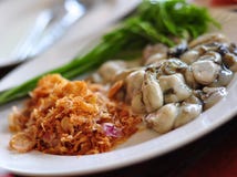 Свежая устрица, который служат с чесноком и овощами Стоковые Изображения Свежая устрица, который служат с чесноком и овощами Стоковые Изображения