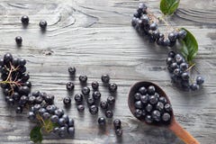 Свеже выбранные доморощенные ягоды aronia стоковая фотография rf Свеже выбранные доморощенные ягоды aronia стоковая фотография rf