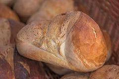 Свеже испеченный хлебец домодельного хлеба стоковые изображения Свеже испеченный хлебец домодельного хлеба стоковые изображения