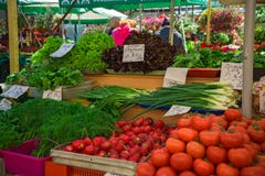 Свежие и органические овощи на рынке фермеров: raddish, томаты, укроп, салат, зеленые onoins, салат, щавель на ярлыках цены стоковое фото rf Свежие и органические овощи на рынке фермеров: raddish, томаты, укроп, салат, зеленые onoins, салат, щавель на ярлыках цены стоковое фото rf