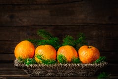 Свежие Клементины или Tangerines и ветви дерева Xmas стоковые изображения Свежие Клементины или Tangerines и ветви дерева Xmas стоковые изображения