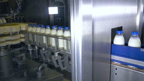 Свежие молочные продучты, бутылки двигая дальше транспортер Завод молочных продуктов Свежие молочные продучты, бутылки двигая дальше транспортер Завод молочных продуктов