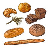 Свежие печенья, хрустящий изолированный хлеб бесплатная иллюстрация Свежие печенья, хрустящий изолированный хлеб бесплатная иллюстрация