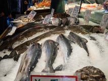 Свежие рыбы, омар, семга, палтус, для продажи на рыбном базаре стоковые фотографии rf Свежие рыбы, омар, семга, палтус, для продажи на рыбном базаре стоковые фотографии rf
