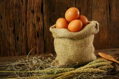 Свежие яичка на деревянной предпосылке от фермы и подготавливают для кашевара в комнате кухни, натуральных продуктах и очищают ед Стоковые Фото Свежие яичка на деревянной предпосылке от фермы и подготавливают для кашевара в комнате кухни, натуральных продуктах и очищают ед Стоковые Фото