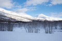Свежий снег на графстве Troms после короткой зимы в мае Красивый морозны стоковая фотография rf Свежий снег на графстве Troms после короткой зимы в мае Красивый морозны стоковая фотография rf