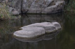 Светлые валуны в темном реке Кровать для фантастических русалок стоковые фотографии rf Светлые валуны в темном реке Кровать для фантастических русалок стоковые фотографии rf