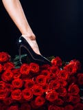 Сексуальные ноги женщины с лепестками розы Ноги здоровой женщины и розовое над чернотой Вены, varicose вены, женское здоровье стоковое изображение rf Сексуальные ноги женщины с лепестками розы Ноги здоровой женщины и розовое над чернотой Вены, varicose вены, женское здоровье стоковое изображение rf