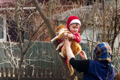 Сельская бабушка дает в руки кота ребенка который взобрался дерево стоковые изображения Сельская бабушка дает в руки кота ребенка который взобрался дерево стоковые изображения