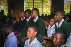 Сельская школа в пригороде Arusha, африканских студентов в классах химии стоковое изображение Сельская школа в пригороде Arusha, африканских студентов в классах химии стоковое изображение