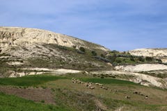 Сельский ландшафт с зелеными лугом и холмами стоковое фото rf Сельский ландшафт с зелеными лугом и холмами стоковое фото rf