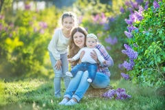 Сестры при мать играя в зацветая сирени садовничают Милые маленькие девочки с пуком сирени в цветении Ребенк наслаждаясь счастлив стоковое изображение rf Сестры при мать играя в зацветая сирени садовничают Милые маленькие девочки с пуком сирени в цветении Ребенк наслаждаясь счастлив стоковое изображение rf