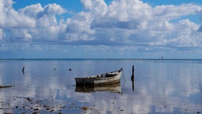 Сидеть на неподвижных водах залива Kaneohe стоковые изображения rf Сидеть на неподвижных водах залива Kaneohe стоковые изображения rf