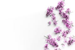 Сирень весны цветет на модель-макете взгляд сверху предпосылки женского домашнего офиса workdesk белом Стоковое Изображение RF Сирень весны цветет на модель-макете взгляд сверху предпосылки женского домашнего офиса workdesk белом Стоковое Изображение RF