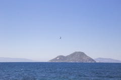 Сиротливое летание чайки на море против фона держателя стоковое фото Сиротливое летание чайки на море против фона держателя стоковое фото